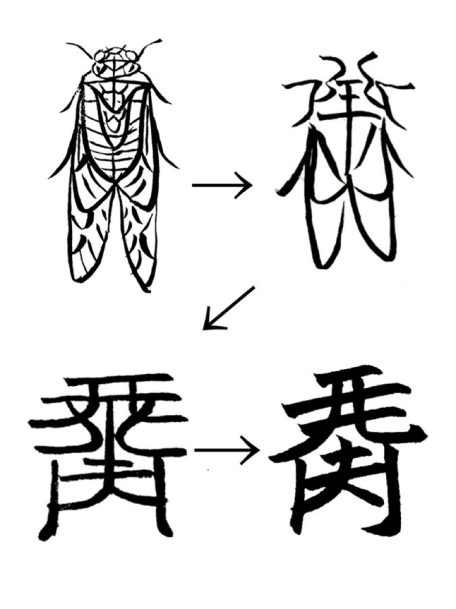 セミの絵が少しずつ形を崩して、留為文字になっていく4段階の図